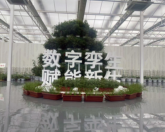 荷蘭溫室